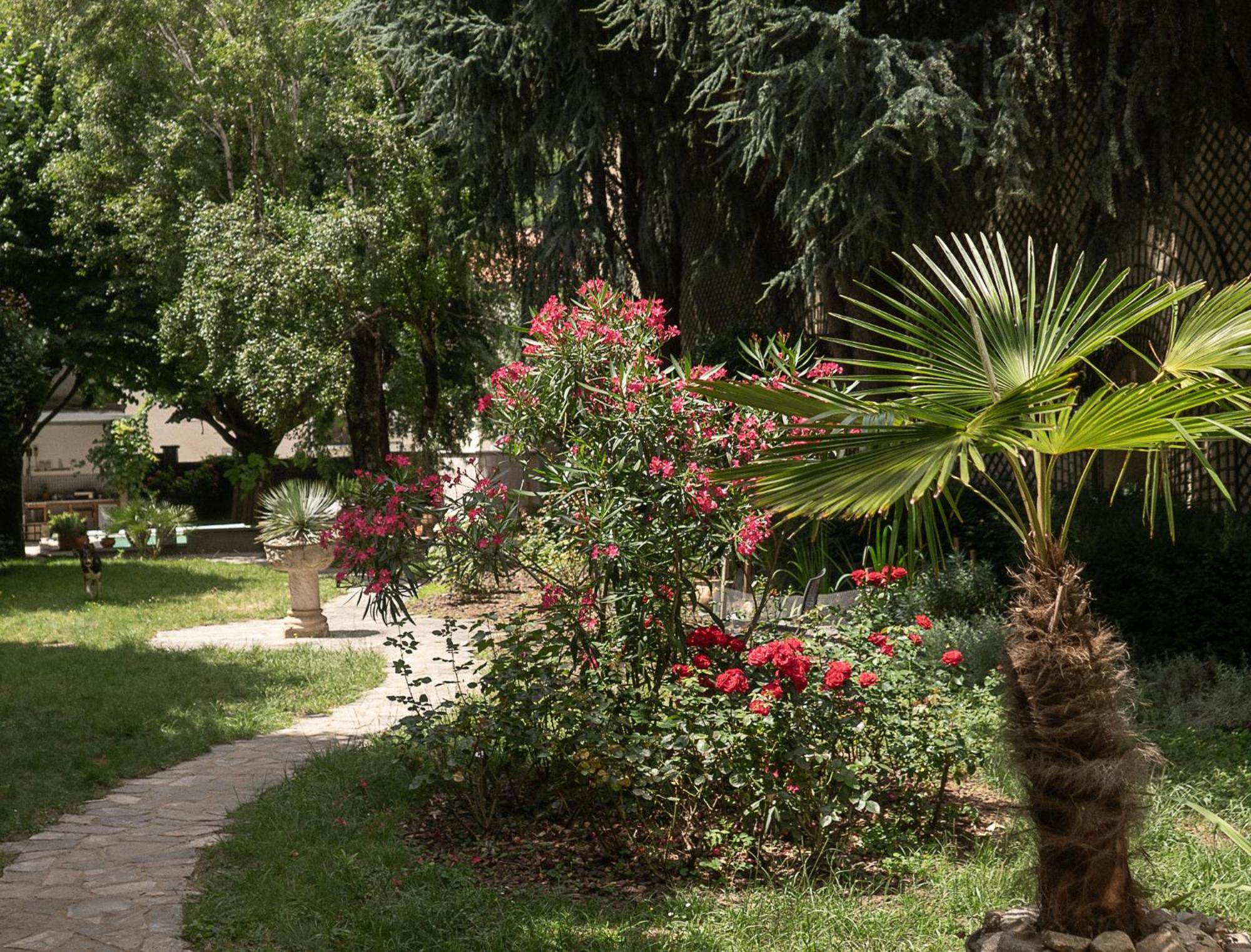 Residence Midi Mazamet Exterior photo